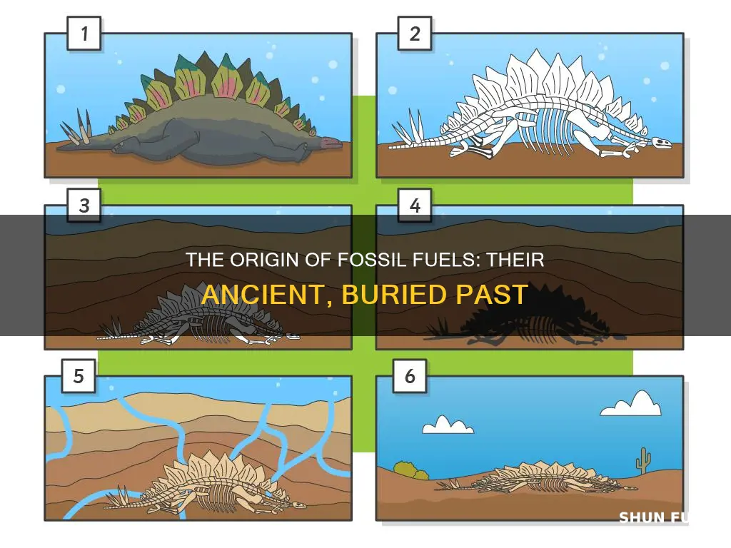 how did fossil fuels get their name