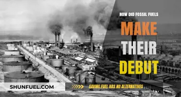 The Rise of Fossil Fuels: A Historical Perspective