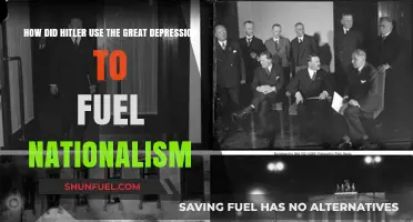 Hitler's Rise: Exploiting the Great Depression for Nationalist Agendas