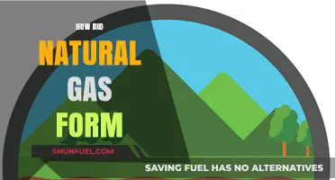 Unveiling the Ancient Origins: How Natural Gas Came to Be