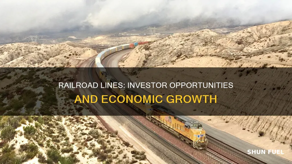 how did railroad lines fuel new opportunities for investors