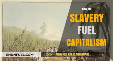 Slavery's Role in Building Capitalism: A Historical Economic Analysis
