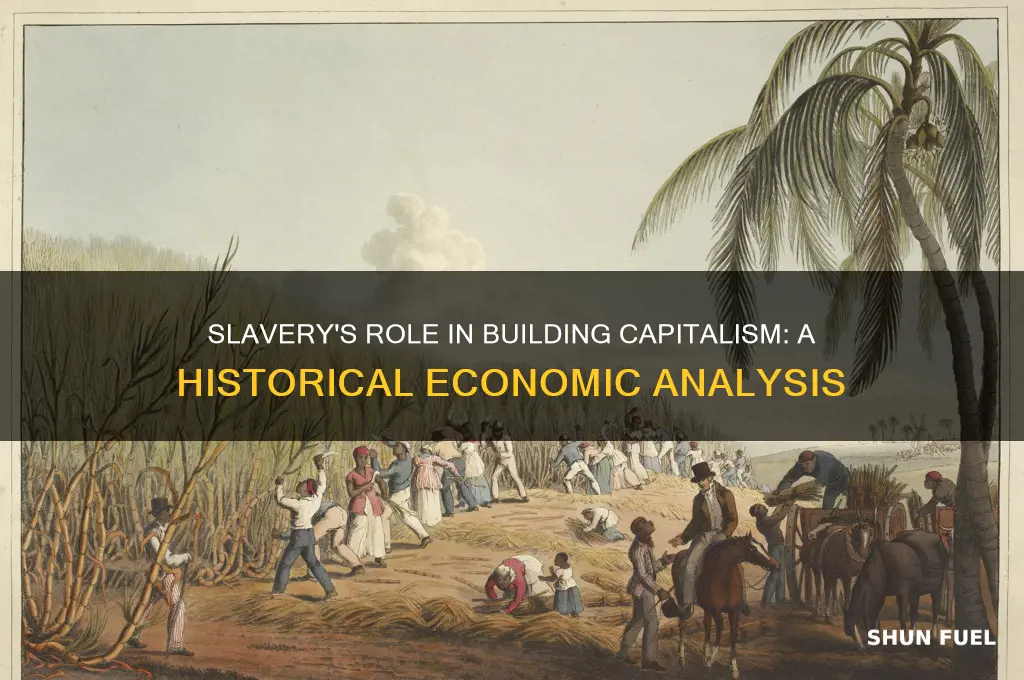 how did slavery fuel capitalism
