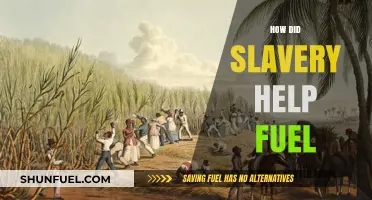 Slavery's Role in Fueling Economic Growth and Industrial Revolution