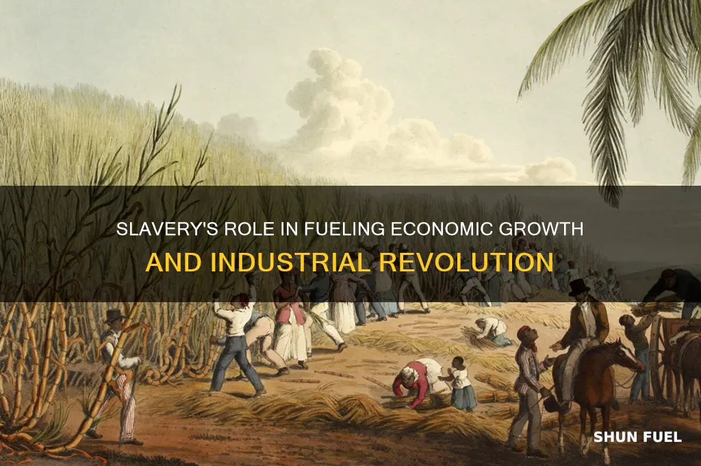 how did slavery help fuel