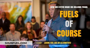 Steyer's Billions: Fossil Fuel Fortunes