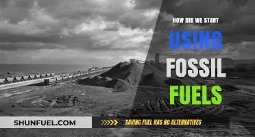 The Rise of Fossil Fuels: A Historical Journey to Energy Dominance