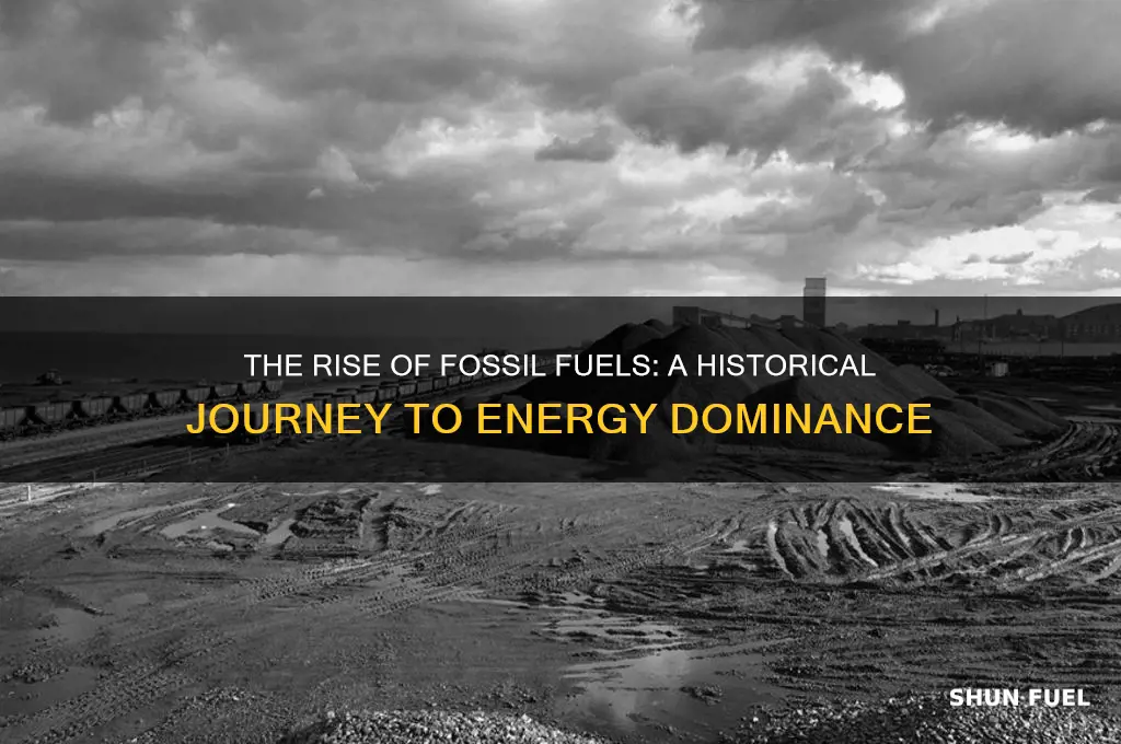how did we start using fossil fuels