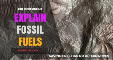 Creationists' Take on Fossil Fuels: An Alternative Explanation