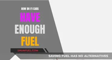 F1 Cars: Fuel Efficiency Secrets on the Track