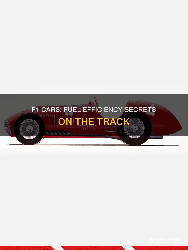 how do f1 cars have enough fuel