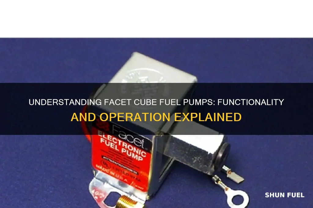 how do facet cube fuel pumps work