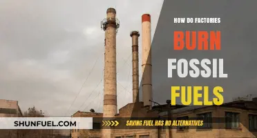 Burning Fossil Fuels: The Dark Side of Factories