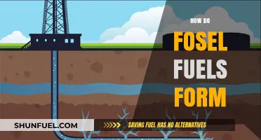 The Ancient Process: How Fossil Fuels Form Over Millions of Years