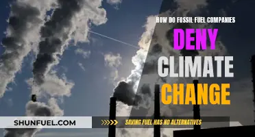 Fossil Fuel Companies: Denying Climate Change, Profiting from Lies