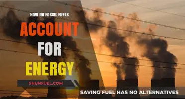 Fossil Fuels: Energy's Past, Present, and Future