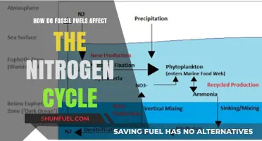Fossil Fuel Impact: The Nitrogen Cycle Disruption