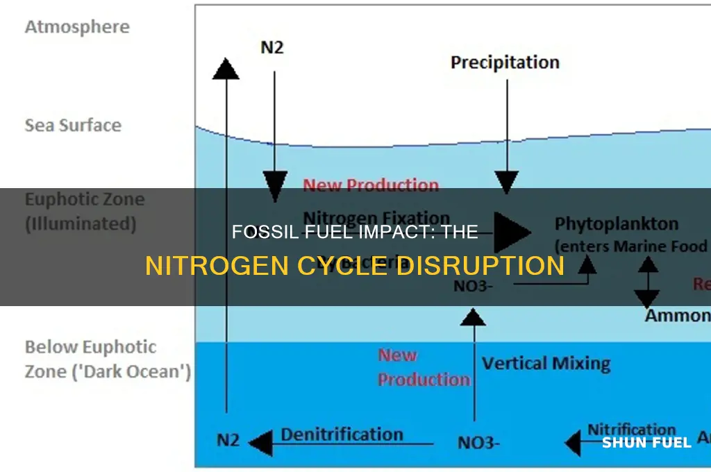 how do fossil fuels affect the nitrogen cycle