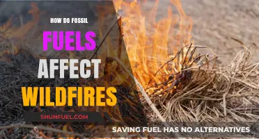 Fossil Fuels and Wildfires: A Dangerous Mix