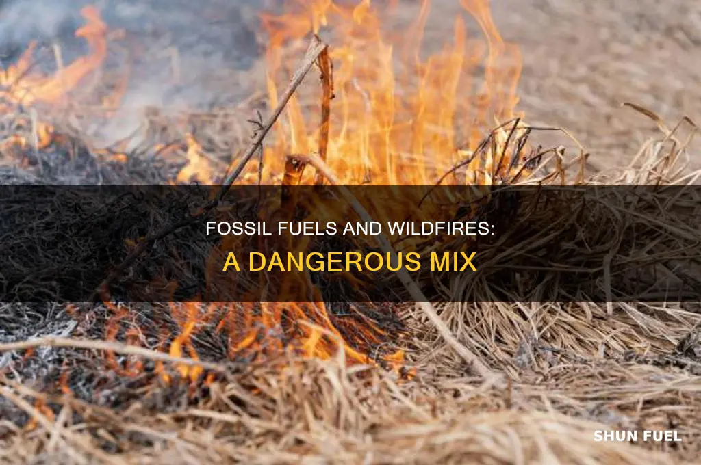 how do fossil fuels affect wildfires