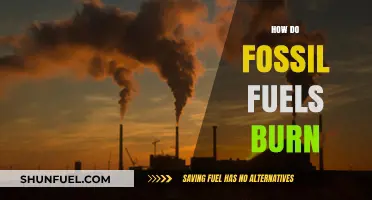 Fossil Fuels: Burning and its Environmental Impact