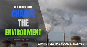 Fossil Fuels: Changing Our Environment and Future