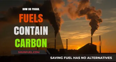 Fossil Fuels: Carbon's Ancient Prison