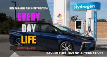 Fossil Fuels: Powering Our Daily Lives