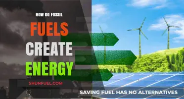 Fossil Fuels: Energy Creation from Ancient Sunlight