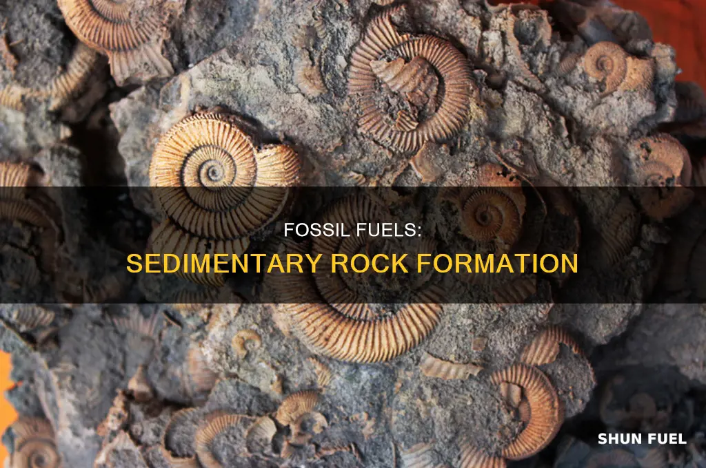 how do fossil fuels form in sedimentary rock
