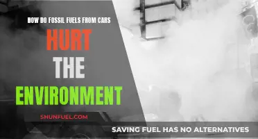 Cars' Fossil Fuels: Damaging Our Environment