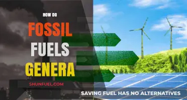 The Evolution of Fossil Fuels: Unlocking Ancient Energy