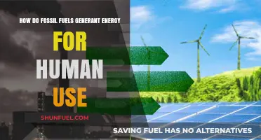 Fossil Fuels: Energy Generation for Humans
