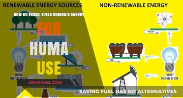 Fossil Fuels: Energy Generation for Humans