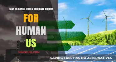 Fossil Fuels: Energy Generation for Humans