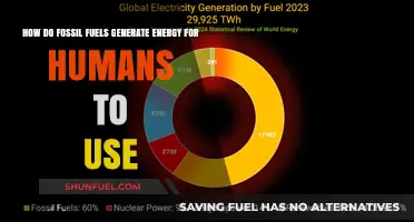 Unleashing Power: How Fossil Fuels Generate Energy for Humanity