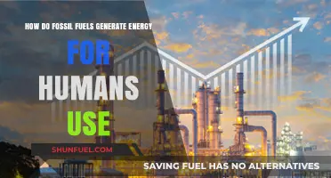 Unleashing Power: How Fossil Fuels Generate Energy for Human Needs
