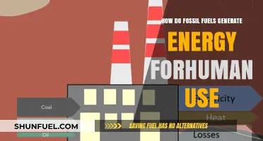 Fossil Fuels: Energy Generation for Human Consumption