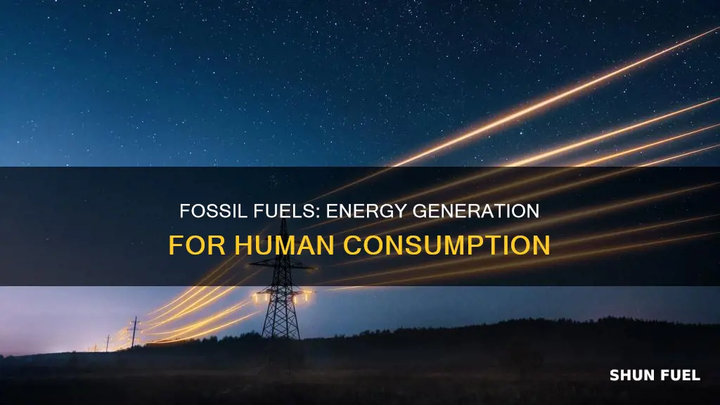 how do fossil fuels generate energy forhuman use