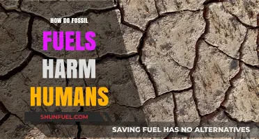 Fossil Fuels: Harming Humans, Hurting Our Health