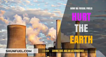 Fossil Fuels: Damaging Our Planet's Health