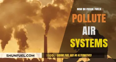 Air Pollution: Fossil Fuels' Dark Legacy