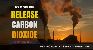 Burning Fossil Fuels: Carbon Dioxide Release