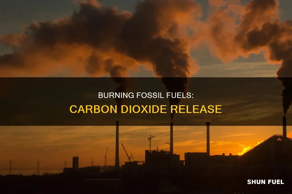 how do fossil fuels release carbon dioxide