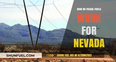 Fossil Fuels: Powering Nevada's Past, Present, and Future