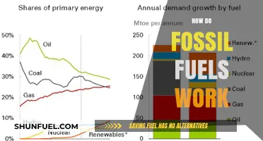 Fossil Fuels: Powering Our World, How?