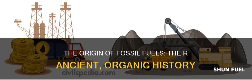 how do fossils fuels get their name
