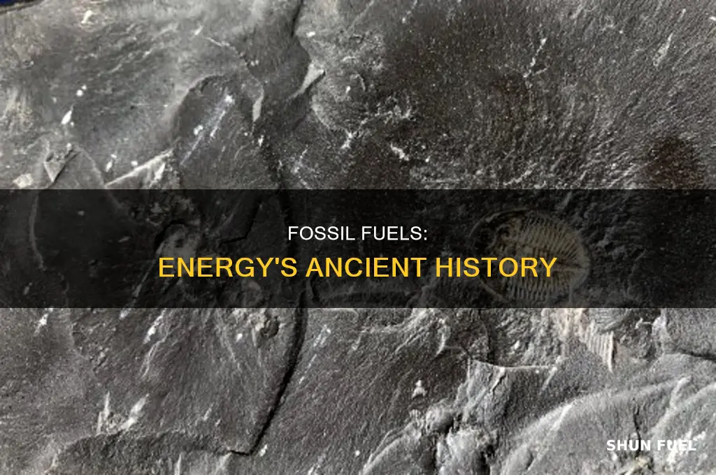 how do fossils fuels work