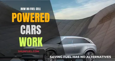 Fuel Cell Cars: Powering the Future of Driving