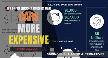 Fuel Efficiency Standards: The Hidden Cost of Greener Cars